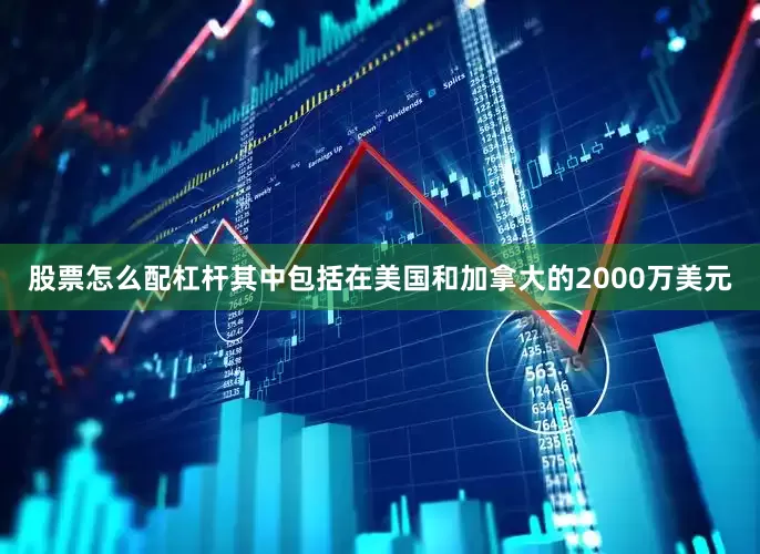 股票怎么配杠杆其中包括在美国和加拿大的2000万美元
