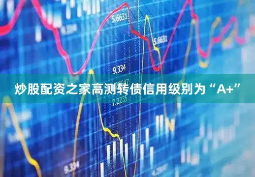 炒股配资之家高测转债信用级别为“A+”