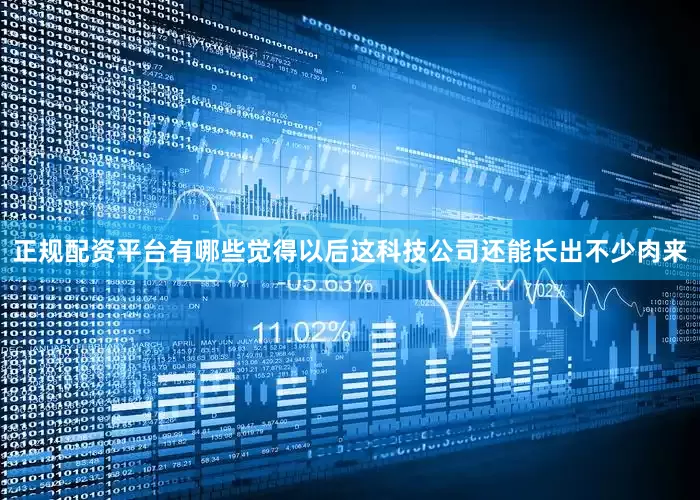 正规配资平台有哪些觉得以后这科技公司还能长出不少肉来