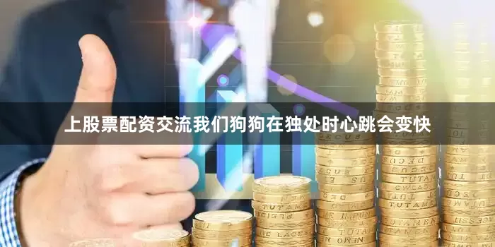 上股票配资交流我们狗狗在独处时心跳会变快