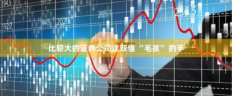 比较大的证券公司这双懂 “毛孩” 的手